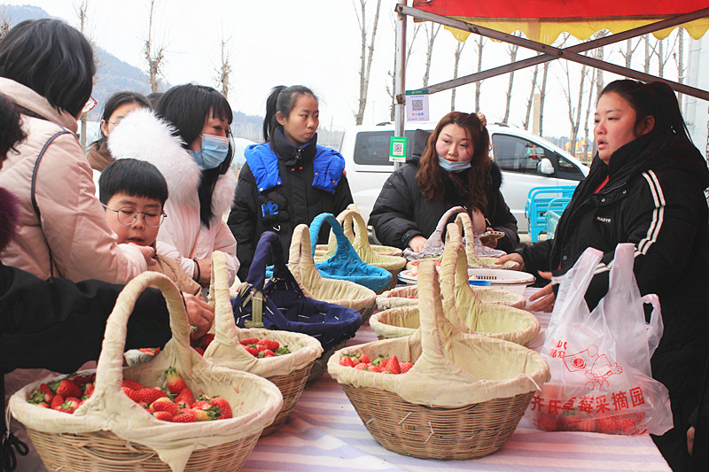 ��ݮ�h��c�´� | ���f�(zh��n)��ɽ�ڲ�ݮ��ժ��Ȥ���������w�(y��n)�e����ζ